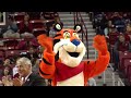 Highlights: Men's Basketball vs UAPB