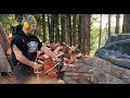 Husky 395 - fast cutting - hand filing, bucking firewood