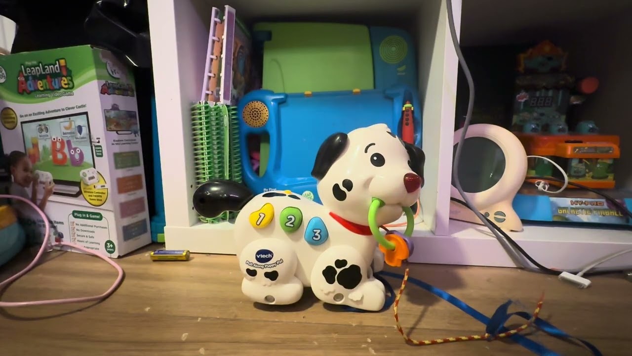 VTech Pull Along Puppy Pal Startup