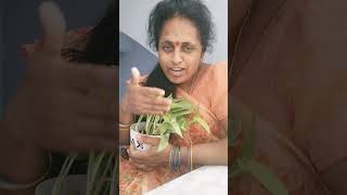 konchem time dorikina prakruthi thone gaduputanu