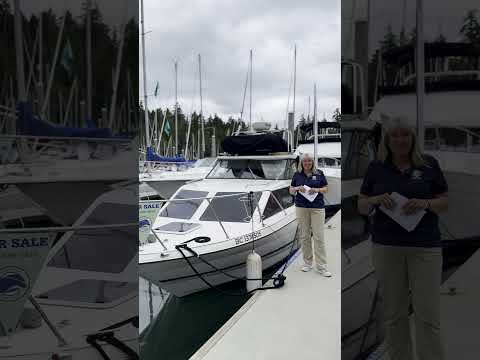 24 BAYLINER EXPRESS CRUISER 2452 automobile luxuryyachtlife luxuryyacht