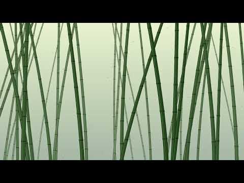 Bamboo Landscape abstract zen bamboo 4k Visual Loop | Python + Taichi CUDA | 60 FPS