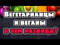 Веган и вегетарианец, в чем разница, какие есть стадии вегетарианства и в чем их отличие