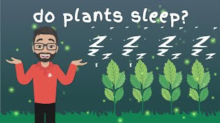 Do Plants Sleep?