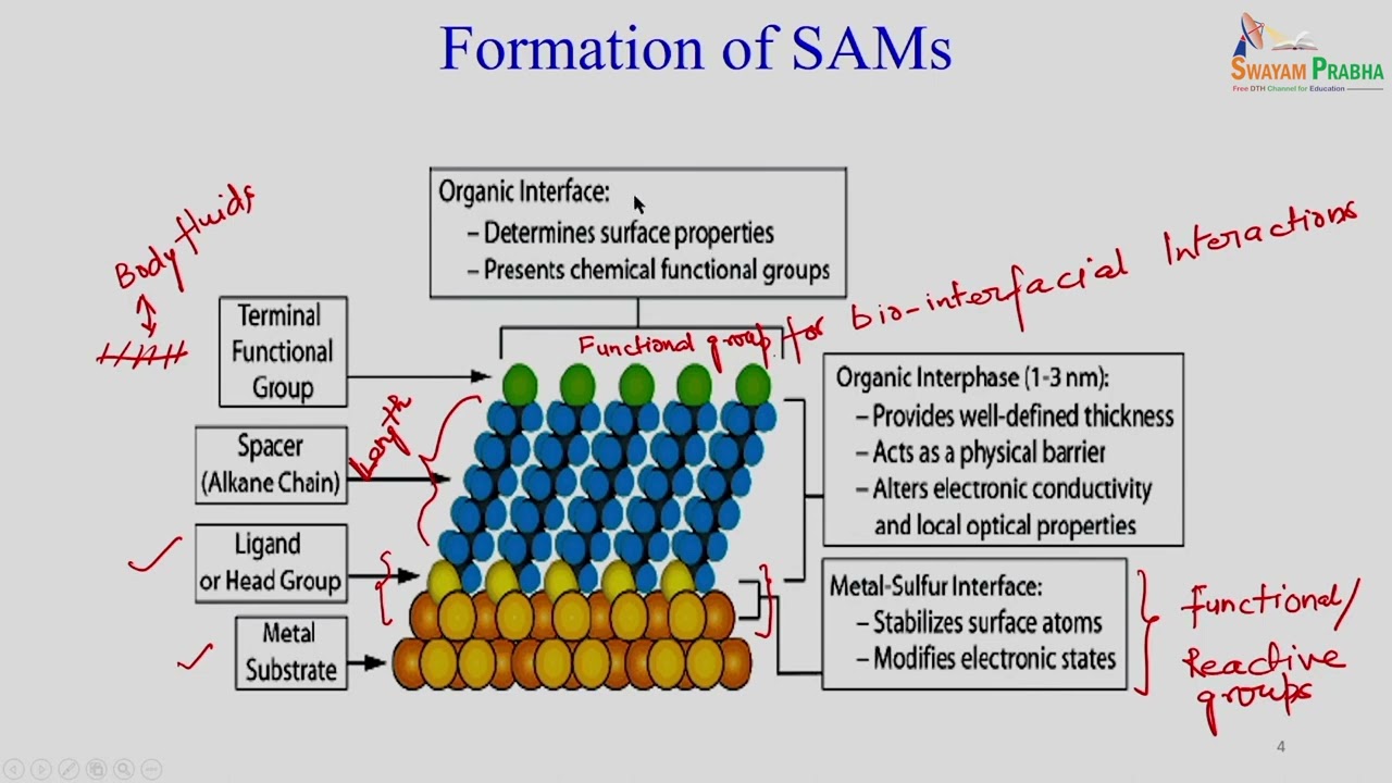 Lec 23 : Self-Assembled Monolayers.