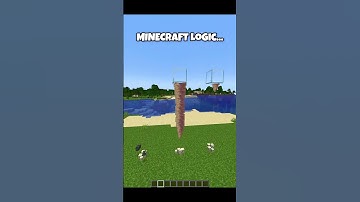 Minecraft Logic be like #minecraft #shorts