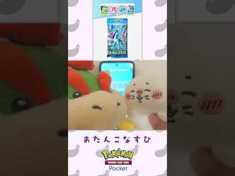 ごまちゃんとポケポケ開封 #82 #ポケモン #ポケポケ開封  #ポケカ開封 #ゲーム実況 #ゲーム #未知なる水域  #アザラシ #鬼滅の刃 #4dx #ナルトダンス