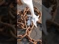 #restoration #trending #shorts