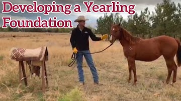 Developing a Foundation with a Yearling Horse - Justin Hatfield