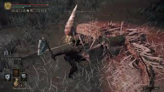 Elden Ring Warr1 PT1 2024-11-14 p6 - Caelid Waypoint Ruins