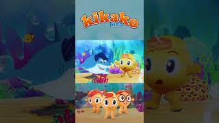 Baby Shark | KiKaKo Kids #kikakokids #nurseryrhymes