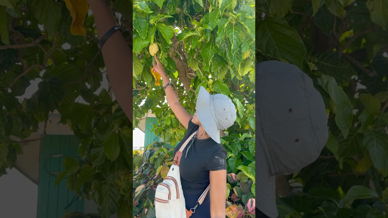 Unfiltered Island Living | Moore's Island Day 2 