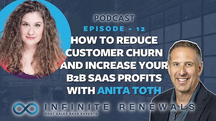 Episode 12: How to reduce customer churn and Increase your B2b SaaS profits with Anita Toth