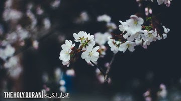 #سورة_الإسراء  بصوت القارئ اسامة صبحي حسين #تلاوة #القرآن_الكريم #قرآن #القرآن #quran #قران