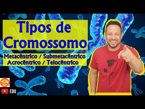 Vídeo: Diferença Entre Cromossomos Acrocêntricos E Telocêntricos