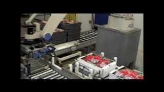 Celebrity BPmatic crates and boxes palletizing robot Net Worth