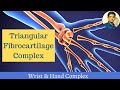 Triangular Fibrocartilage complex # Wrist and Hand Complex