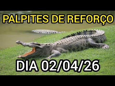 PALPITES DE REFORÇO TARDE DIA 02/03/26 (SORTE A TODOS)@canaldomarcao1969 