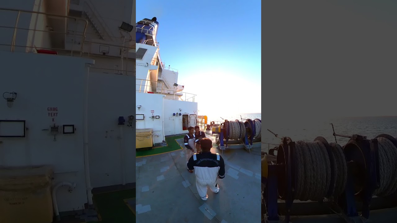 Merchant navy shorts 