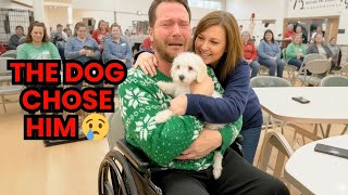 Emotional Event: Dogs Choose Their New Owners at Christmas | December Adoption (Ai Emotional Videos)