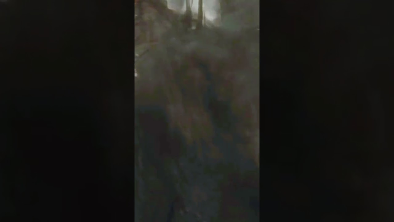 🐲🐲Hydra Dragon Attack On Percy Jackson 🐉🐉