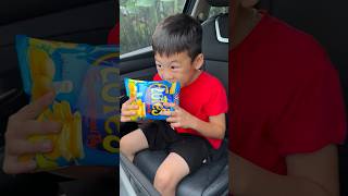 Em Trai Tìm Kiếm Một Hồi Lâu Và Phát Hiện Ra Đây Chính Là Con Mèo Trong Điện Thoại.