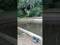 habis membersih kan rumput