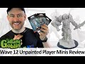 WizKids Unpainted Minis Wave 12 - Player Characters - Nolzur's Marvelous Miniatures