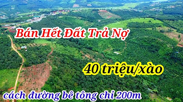 (Đã bán )2,6ha để trả nợ/giá rẻ 400tr/ha cách đường bê tông chỉ 200m/Bán Đất Đắk Nông