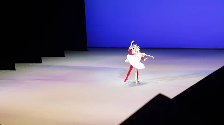 Выпускной концерт МГАХ.  070616. Дэвид Мота Соарес.