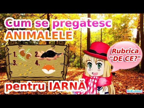 Video: Cum Se Pregătesc Animalele Pentru Iarnă