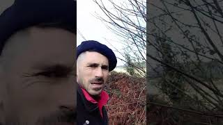Como se protegían y separaban las lindes en Galicia #plantas