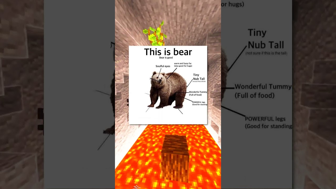 mou-bear♡ページ This Is Bear 🧸 - YouTube