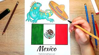 Mexican flag, sombrero and iguana coloring page 🦎