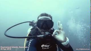 My First Dive in Daymaniyat Islands, Aquarium, Oman