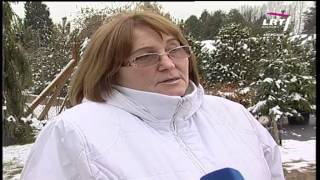 Patarimai Sodininkams, Kaip Tinkamai Paruošti Augalus Žiemai Vaizdo Reportažas