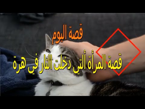 قصة المرأة التي أدخلها الله تعالى النار بسبب قطة