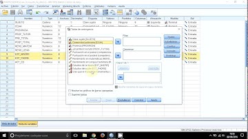 5. Estadísticos descriptivos en dos variables con SPSS
