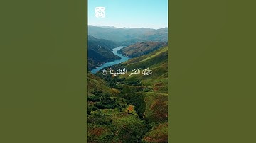 ما تيسر من سورة الفجر بصوت القارئ ياسر الدوسري  #اكسبلور #ياسر_الدوسري