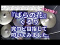 【 ドラム叩いてみた。】ばらの花 / くるり【ドラム譜あり。】