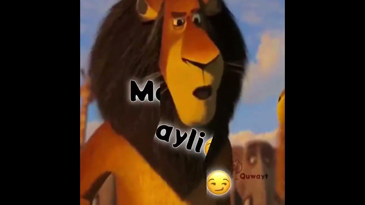 кулгули 😄😄 - YouTube