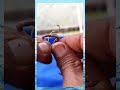 How to Install Worm Bait #shorts