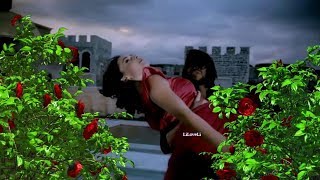 Red Roses of Passion