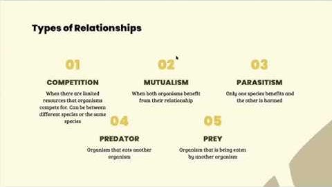 Interdependent Relationships In Ecosystems (Biology)