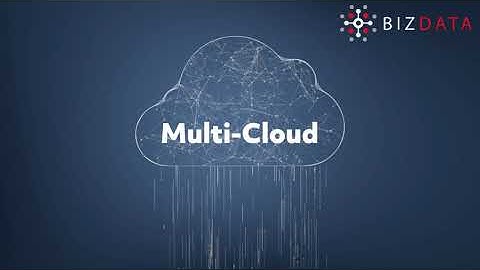 The new reality in System Integrations - Bizdata, Inc.