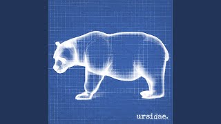Spirit Bear