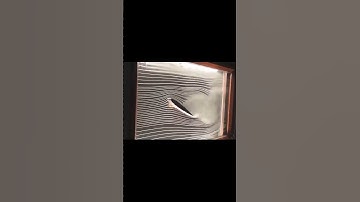 Flow-field visualizations