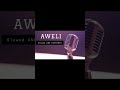 AWELI ARABIC SONG SLOWED AND RIVERBED 