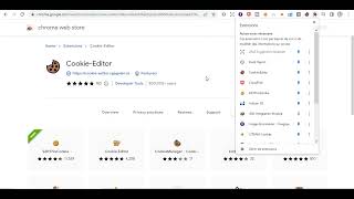 How To Use Premium Cookies Cookie Editor Extension Review
