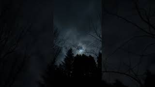 The moon, the clouds, the trees and the wind.